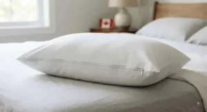 Dust mite resistant zippered pillow protector, queen size, ensuring a cleaner and more hygienic sleep environment.